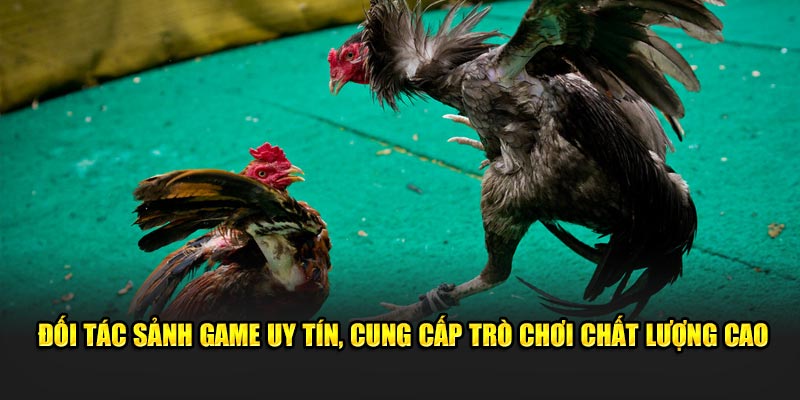 Đối tác sảnh game uy tín, cung cấp trò chơi chất lượng cao